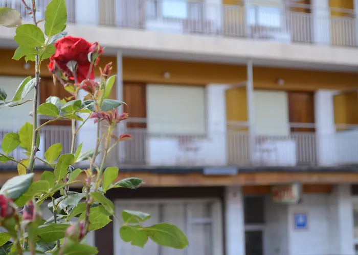 Mi Casa Sabiñánigo